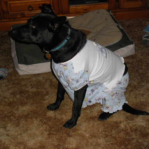 Gary Archer Photo 17