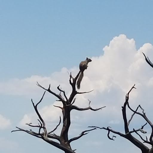 Joseph Laird Photo 24