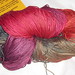 Susan Schafer Photo 16