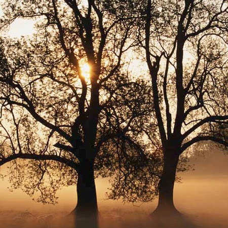 Leslie Parrish Photo 32