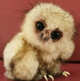 Theresa Fletcher Photo 11