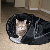 Elaine Wagner Photo 14