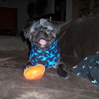 Melissa Glover Photo 11