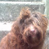 Victoria Douglass Photo 31