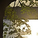 Lloyd Long Photo 33