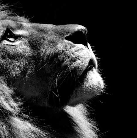 Vincent Reyes Photo 22