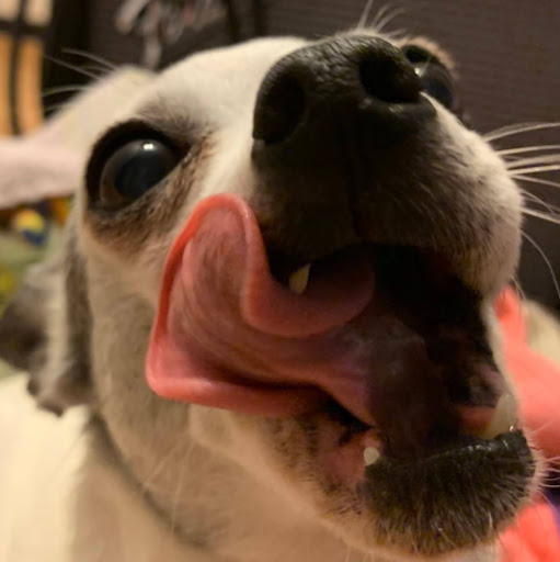 Jonathan Busch Photo 29