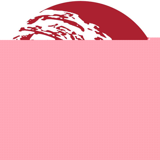 Nancy Byrne Photo 13