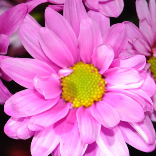 Tammy Price Photo 17