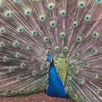 Debbie Needham Photo 29