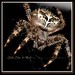 Geri Long Photo 20