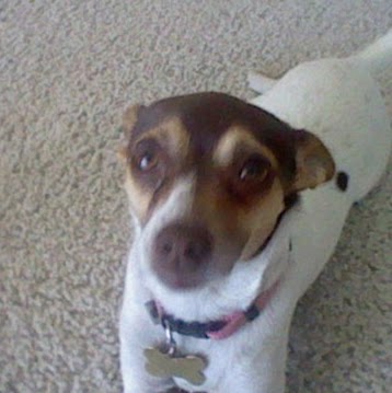 Kelly Sauer Photo 23