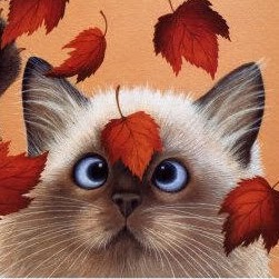 Vanessa Romero Photo 33