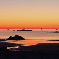 Tracy Catlin Photo 10