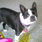 Noreen Jones Photo 9