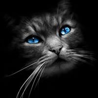 Debra Wheelock Photo 3