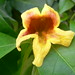 Liane Bloom Photo 8