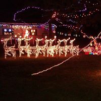 Cindy Blank Photo 13