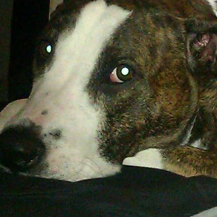 Stephanie Reese Photo 31