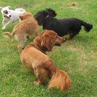 Jan Rasmussen Photo 15