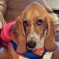 Tonya Greene Photo 17