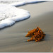 Martin Goins Photo 4