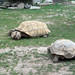 Shelly Wells Photo 21