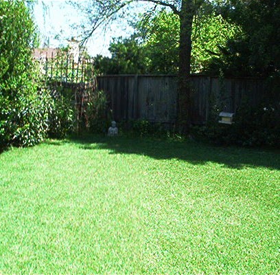 Shari Scott Photo 19