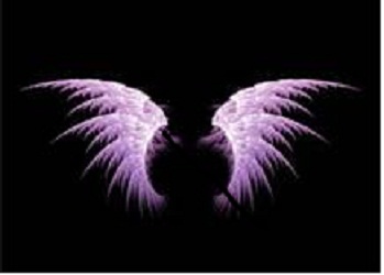 Debbie Rodriguez Photo 32