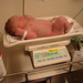 Alexander Erickson Photo 6