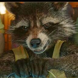 Wayne Howell Photo 37