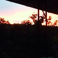 Theresa Dunlap Photo 15