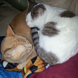 Jennifer Timmons Photo 29