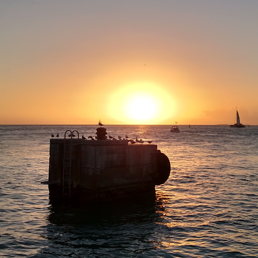 John Riddle Photo 5