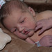 Denise Jones Photo 8