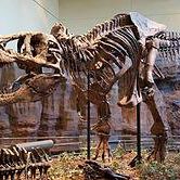 Catherine Hughes Photo 32