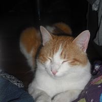 Kristina Browne Photo 9