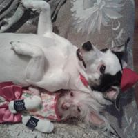 Lilly Brown Photo 21