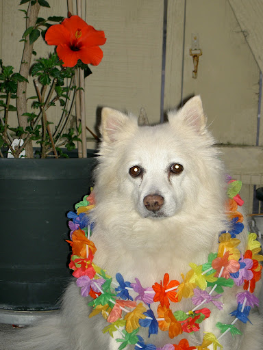 Brenda Gee Photo 10