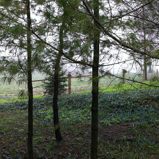 Daniel Macdonald Photo 18