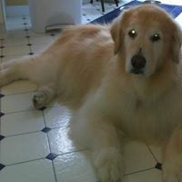 Jill Waller Photo 37