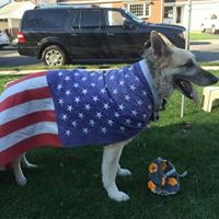 Steven Valentin Photo 9