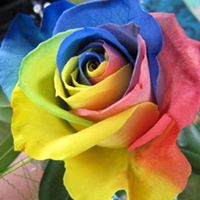 Marla Campbell Photo 42