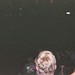 Sandra Riddle Photo 30