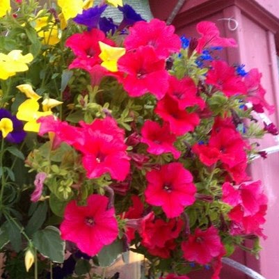 Tracy Ingram Photo 25