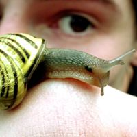 Brady Mcdaniel Photo 10