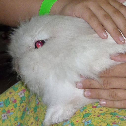 Peter David Photo 29 Peter David Photo 29