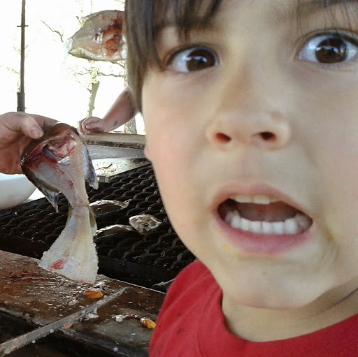 Robert Hawk Photo 17