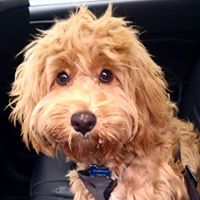 Robyn Nicholson Photo 21