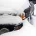 Beverly Snow Photo 15